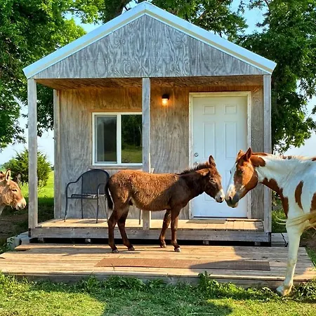 Tiny Cabin At The Donkeyranch Medicine Park Exterior photo