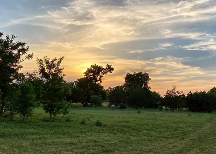 Tiny Cabin At The Donkeyranch